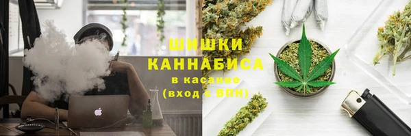 Альфа ПВП Абаза