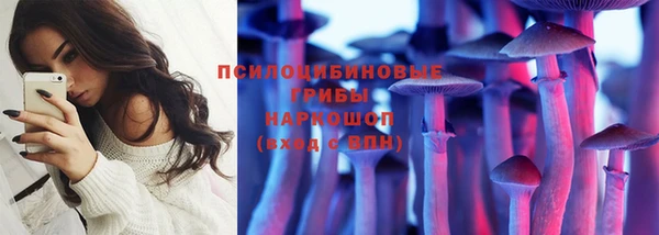 Альфа ПВП Абаза