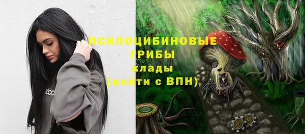 Альфа ПВП Абаза
