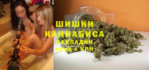 гидропоника Алзамай