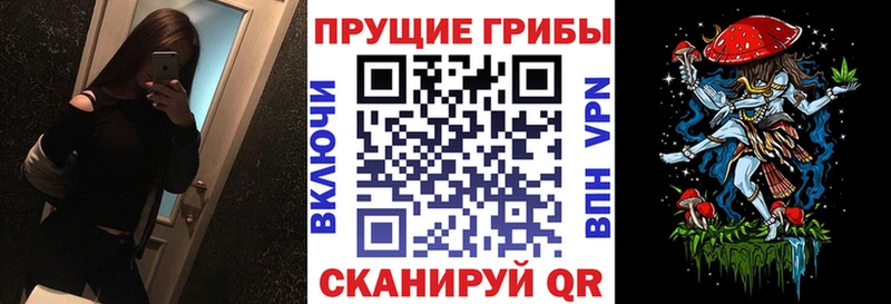 закладки  Черногорск  Псилоцибиновые грибы ЛСД 